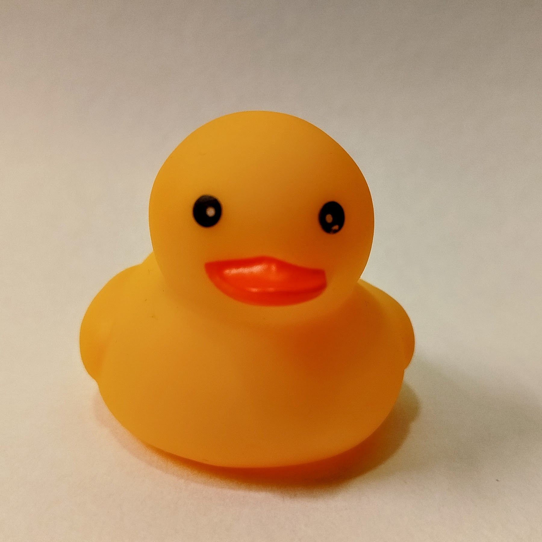 Translate Waddle Photo
